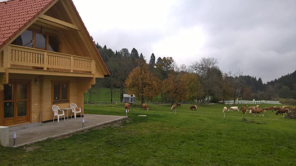 Ferienhaus Dorfruhe 세인트스테판데르게일 객실 사진